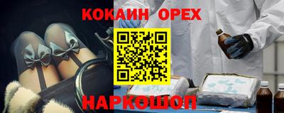 дживик Можга