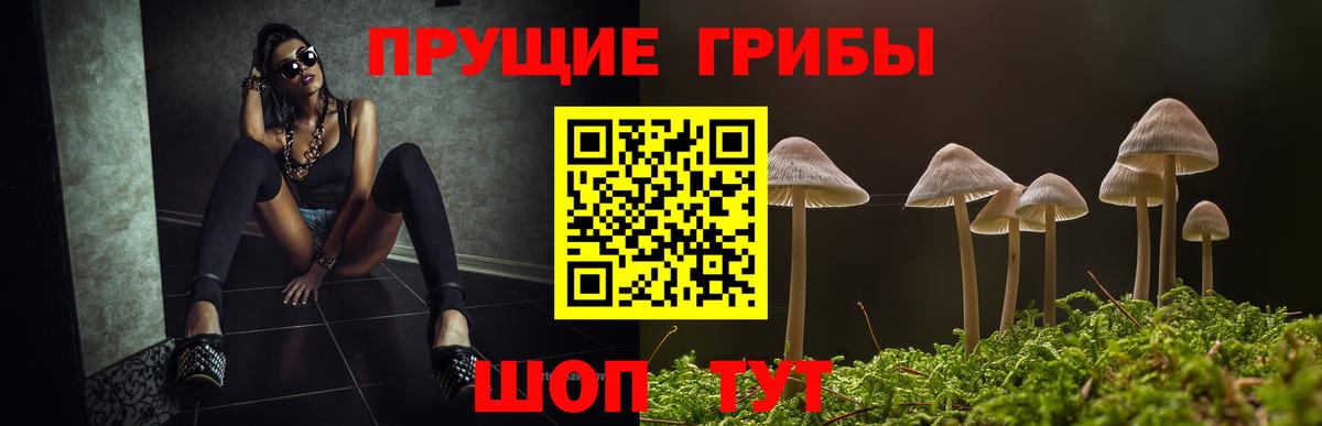 Псилоцибиновые грибы Psilocybe  Вход с VPN  Фурманов 